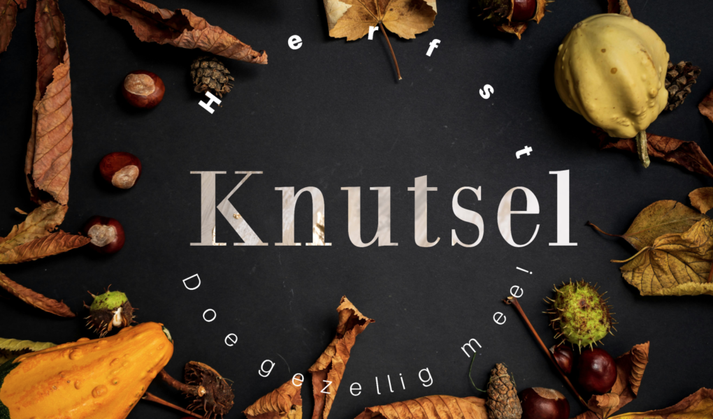 herfstknutsel,herfst, knutselen, kinderen, lieveheersbeestje, oliebeestje,