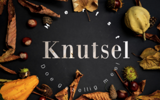 herfstknutsel,herfst, knutselen, kinderen, lieveheersbeestje, oliebeestje,