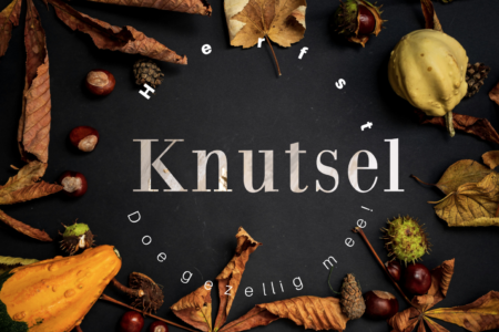 herfstknutsel,herfst, knutselen, kinderen, lieveheersbeestje, oliebeestje,