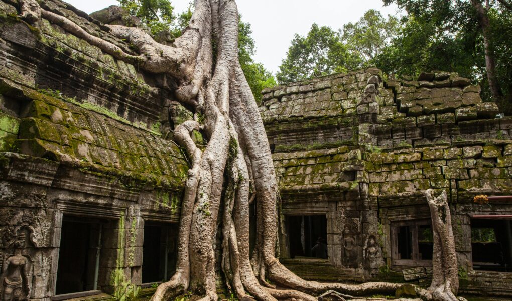 cultuur, cultuur vakanties, cultuurvakantie, gezinsvakanties,